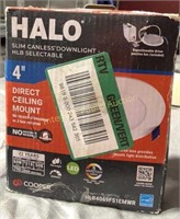 Halo 4” Direct Ceiling Mount