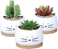 Cute Succulent Pots with Drainage Cat Planters
