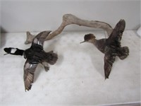2 Flying Ducks on Log Wall Hanging 38in. L