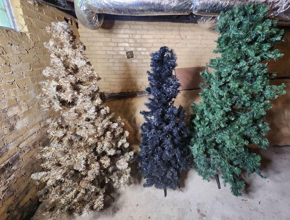 3 Christmas trees 5' and 6' Foot