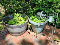 Flower Pots and Plant Stand