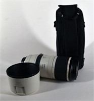 Canon Rf 100-500 Telephoto Mirrorless Lens
