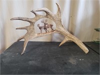 Free stand Antler Carving