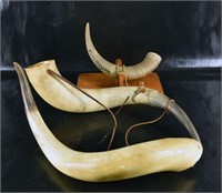 Two Texas Long Horn Horns Unmounted