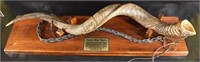 Boy Scout Kudu War Horn Replica
