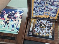 Pittsburgh Steelers Pictures