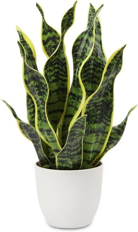 B2660 Hollyone Artificial 17 Snake Plant Potted