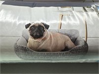 Vibrant life small up to 29 lb dog bed