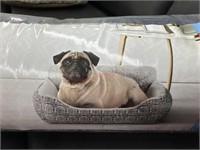 Vibrant life small up to 20 lb dog bed