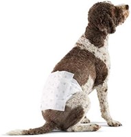 Basics Male Dog Wrap, Disposable Diapers, Large