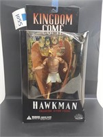 DC's Kingdom "Hawkman"