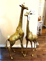 Pair Brass Giraffes - 4'4"T