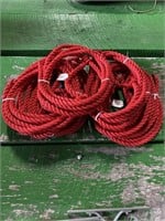 Red Cattle Halters