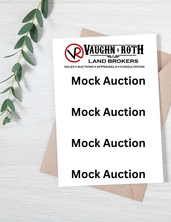 Mock Auction