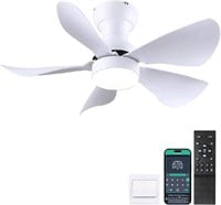Kviflon, Ceiling Fans with Lights and Remote/APP C