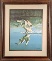 F39 Framed LE Ralph McDonald Whistling Swan Print