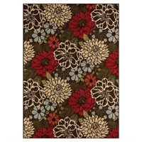 R664  Better Homes & Gardens Floral Area Rug 5' x