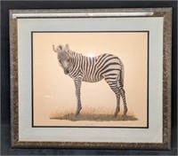 Framed Young Zebra Print By T.H. Farnsworth