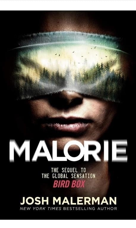 Malorie by Josh Malerman book