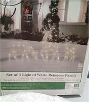 Set of 3 Lighted Reindeer Family