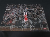 Michael Jordan Signed 11x14 Photo RCA COA