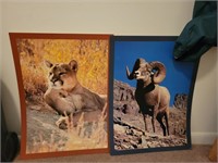 2 - Animal Prints