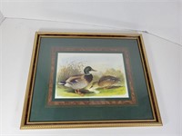 Framed Duck Print 17" X 15"