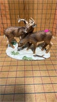 Whitetail, buck and doe