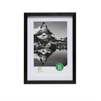 FrameWorks 12x16 Matted to 8x12 Picture Frame - B