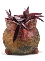 Terra cotta owl planter with live wandering Jew