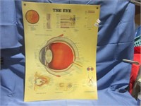 the eye chart .