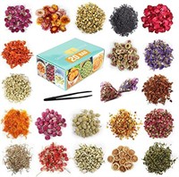 20 Bags Natural Dried Flowers Kit, Natural Dried