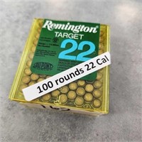 100- .22 cal. solid point Bullets