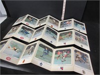 SET OF 3 1964 TORONTO STAR HOCKEY FOLD OUT ALBUMS