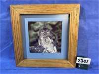 Wood Frame & Mat, Owl, 11.25" Sq.