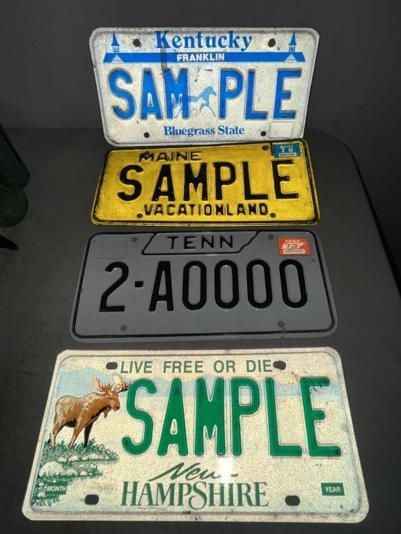 Group Vintage Sample License Plates Maine, KY, Ten