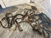 Huge lot of harnesses and bridles