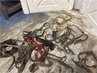 Lot of bridles, halters and horse misc
