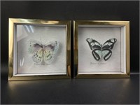 (2) Butterfly Art Decor Shadowboxes