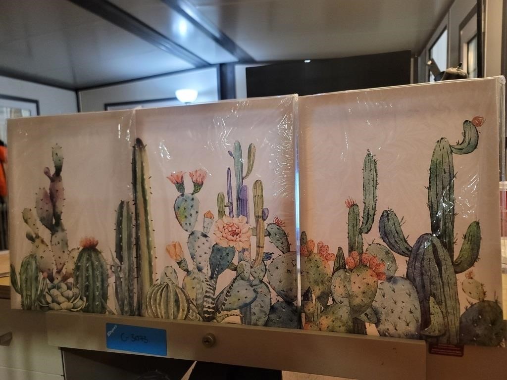 (3) Pc Cactus Canvas Print