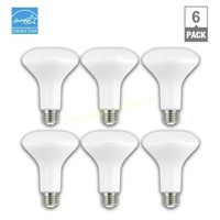 EcoSmart $25 Retail 6Pk LED Light Bulb, Soft