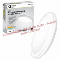 C.E. 12" LED Color Changing Flush mount