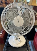 Fan ( NO SHIPPING)