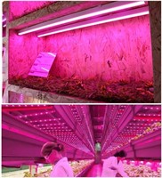 Monios-L LED Grow Light Strips for Indoor Plants,