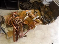 custom built pack saddle, harness, boxes, bags