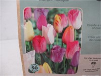 50-Pk Tasc Tulipa Triumph Pastel Assorted Bulbs