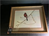 Water Color Cardinal Bird Picture 141/2" W x .....