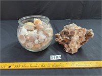 Seashells, Large Rock Specimen