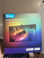Govee Envisual TV LED Backlight T2 with Dual