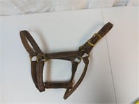 Leather Halter - Cob? Yearling?